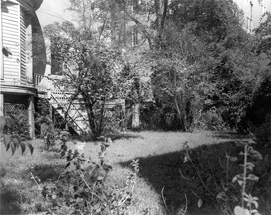 an overgrown garden at the birthplace pre-girl scout purchase